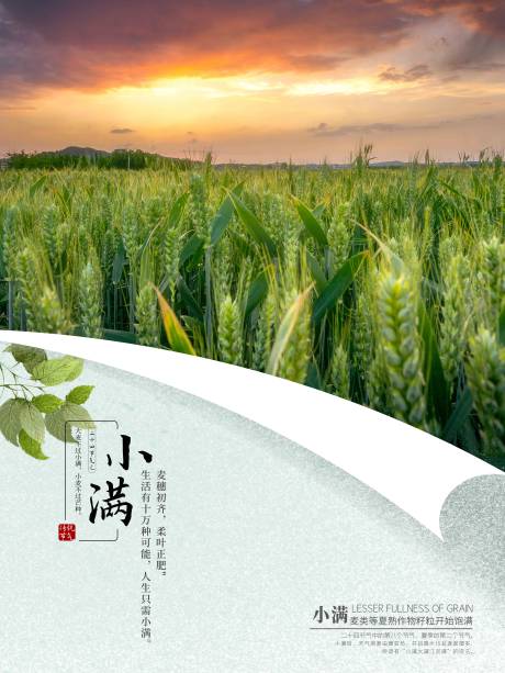 源文件下載【小滿節氣海報】編號：17570009898025225