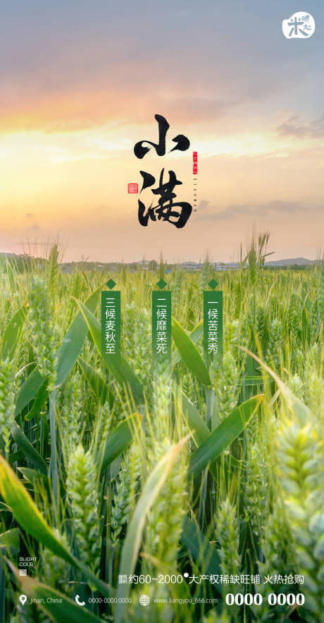 源文件下载【小满二十四节气海报】编号：78270010034206361