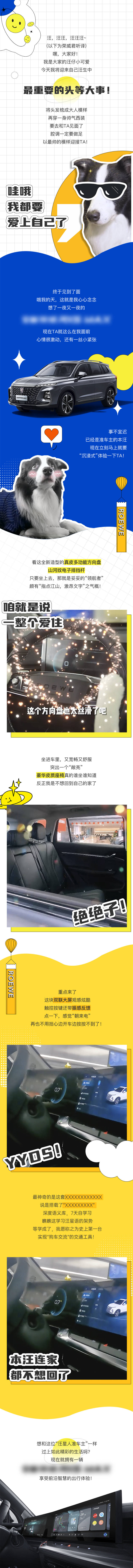 源文件下載【享設計】搜索編號：57700009928401064【寵物汽車長圖】