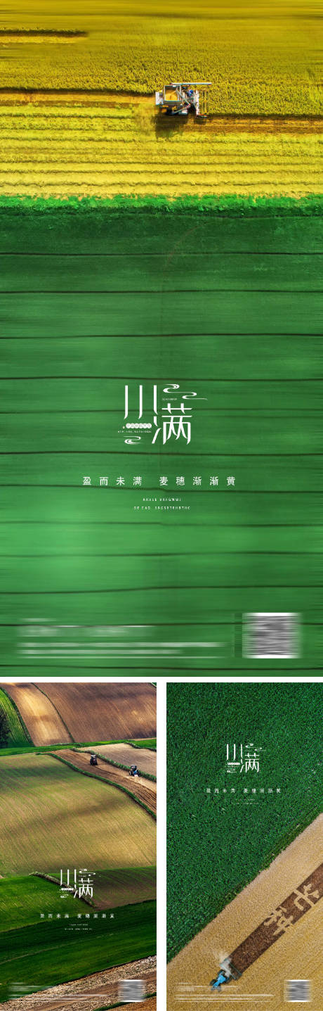 源文件下载【小满节气系列海报】编号：98010009774292123