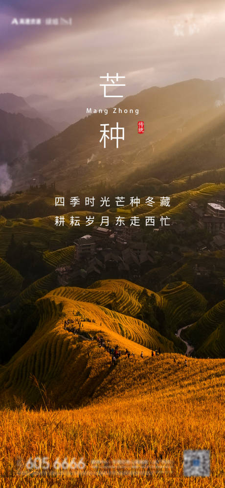 源文件下载【芒种海报】编号：54560010138633008