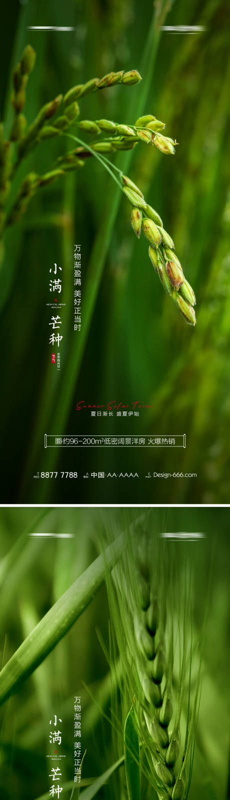 源文件下载【地产小满芒种节气系列海报】编号：11920009924003258