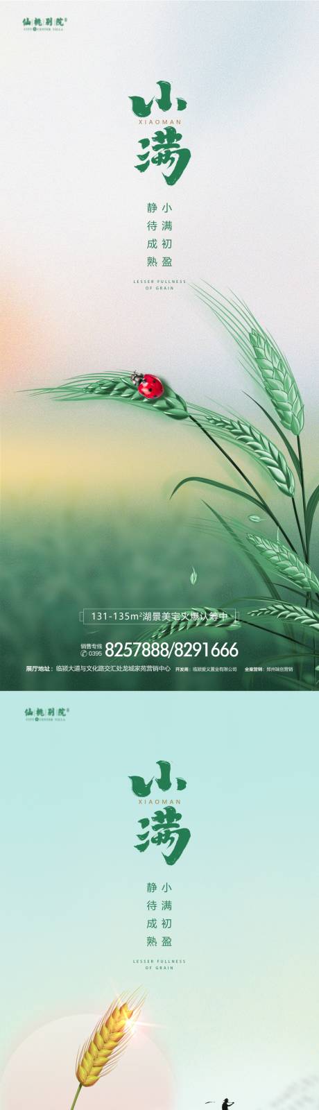 源文件下載【小滿節氣移動端海報】編號：81370009979024278