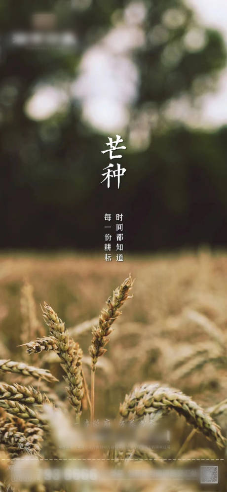 源文件下载【享设计】搜索编号：43130010260396422【芒种节气海报】
