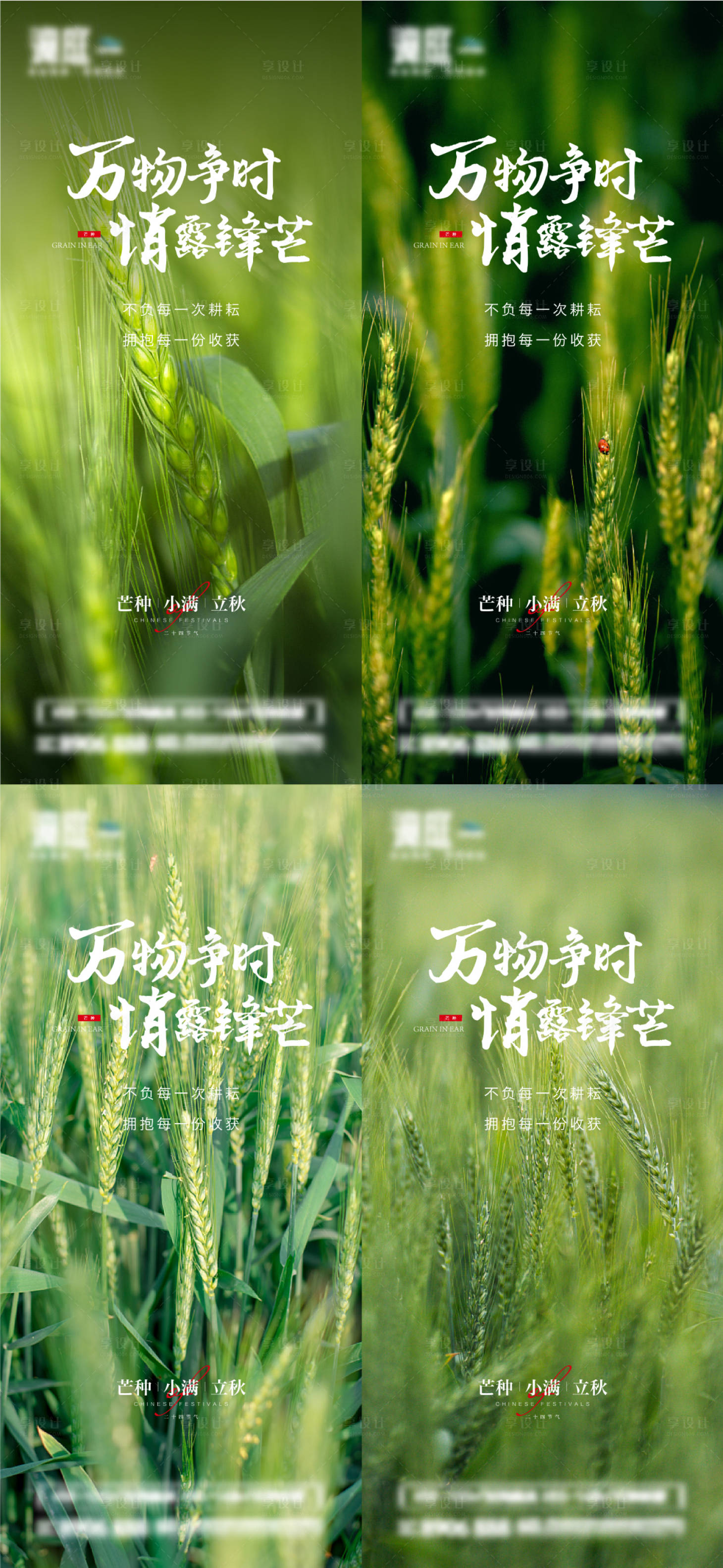 源文件下载【享设计】搜索编号：91930010193145377【芒种小满立秋节气系列海报】