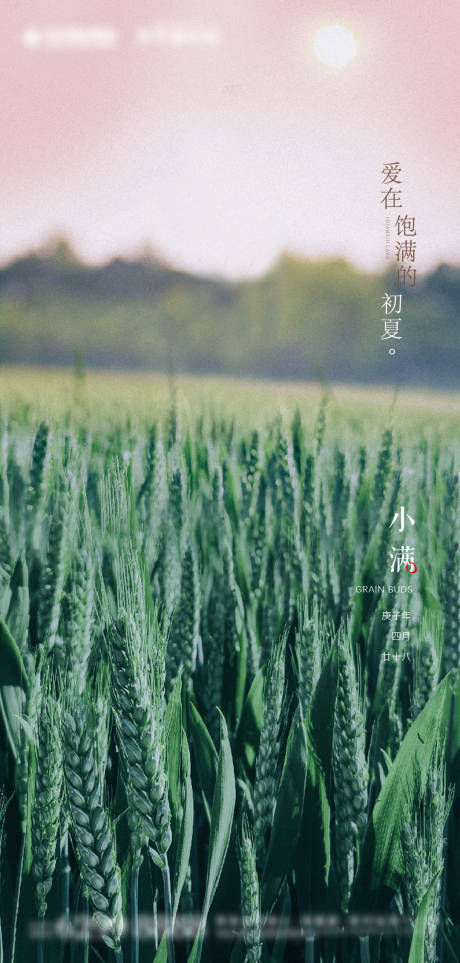 源文件下載【小滿節(jié)氣海報(bào)】編號(hào)：75350009926441300