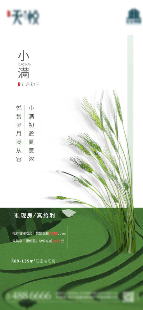 源文件下载【小满大满芒种节气海报】编号：47390010137053042