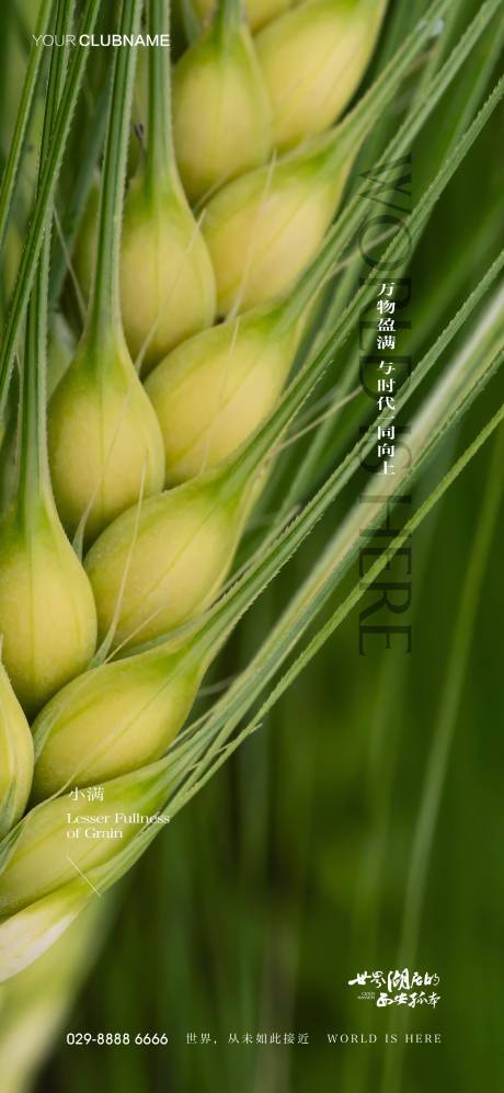源文件下载【享设计】搜索编号：13610009997444815【小满地产节气】