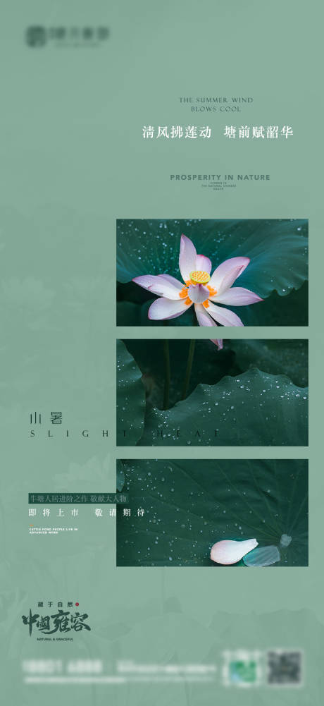 源文件下载【小暑海报】编号：48010009933258252