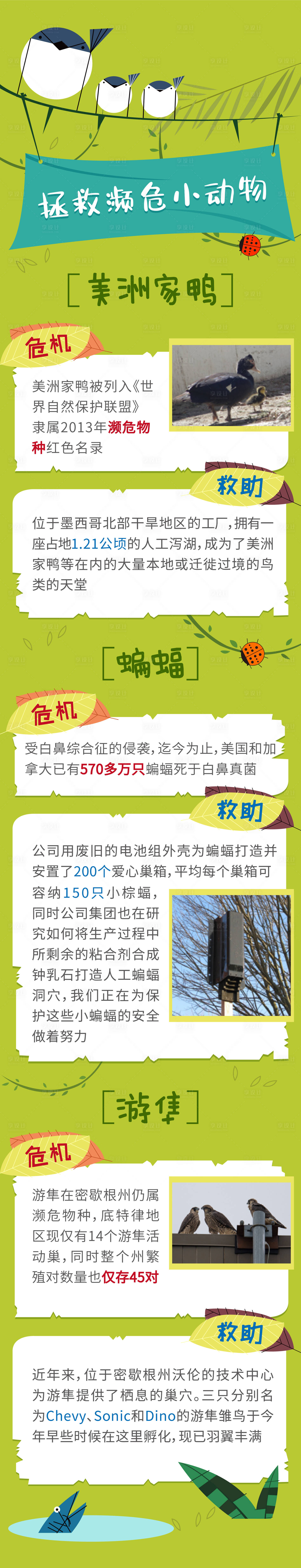 源文件下载【享设计】搜索编号：45450010134147923【保护动物插画长图海报】