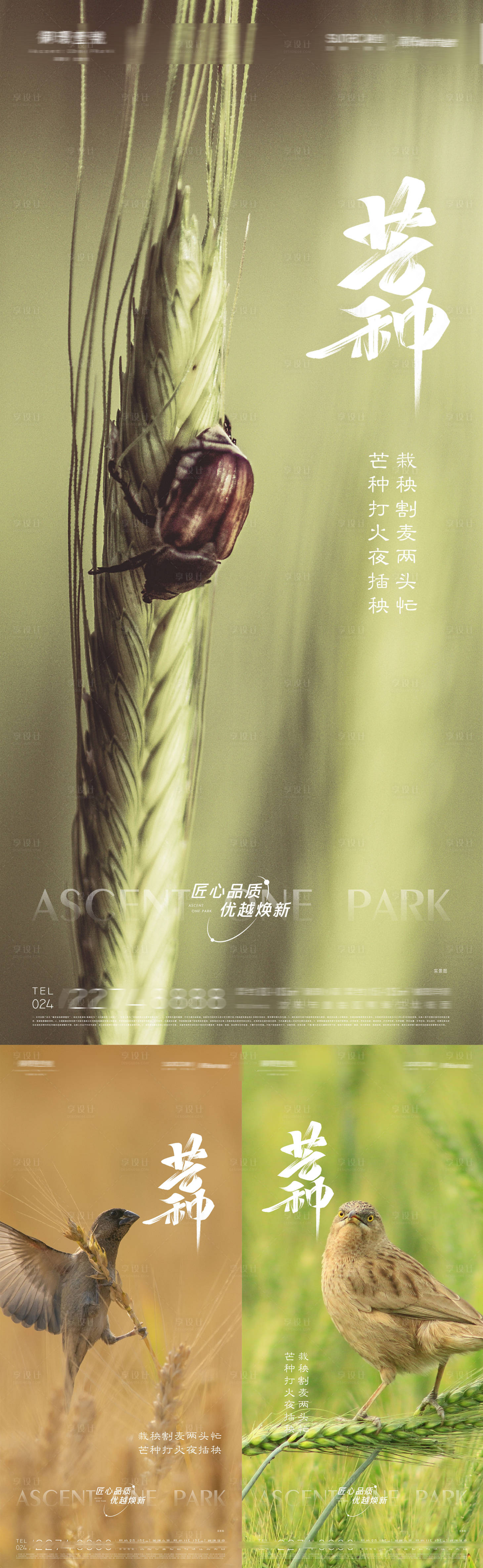 源文件下载【芒种节气海报】编号：21710010190641052