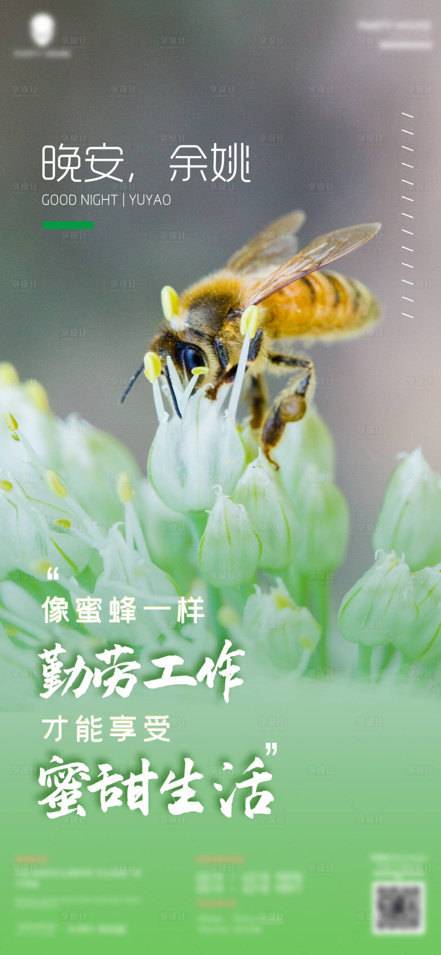 源文件下载【酒吧晚安问候】编号：81710009842336835