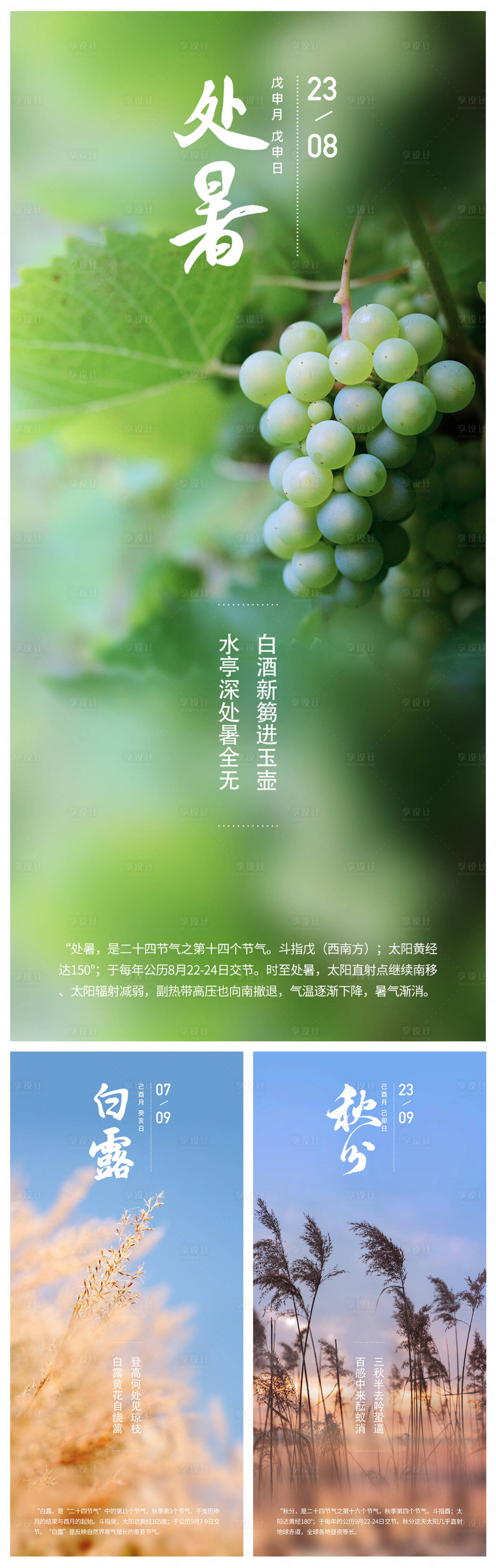 源文件下載【享設計】搜索編號：57280009903929979【秋分白露處暑海報】