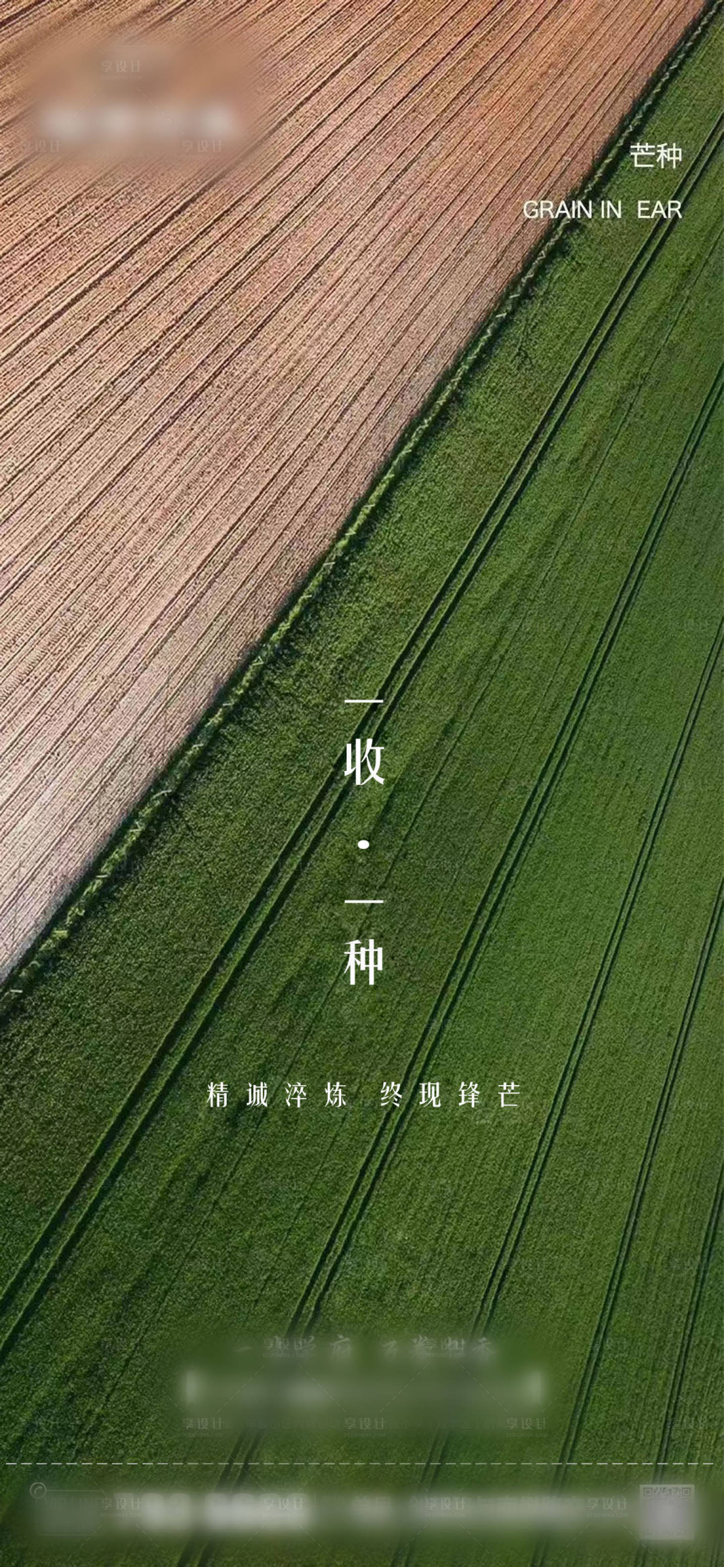 源文件下载【享设计】搜索编号：48750010260438373【芒种节气海报】