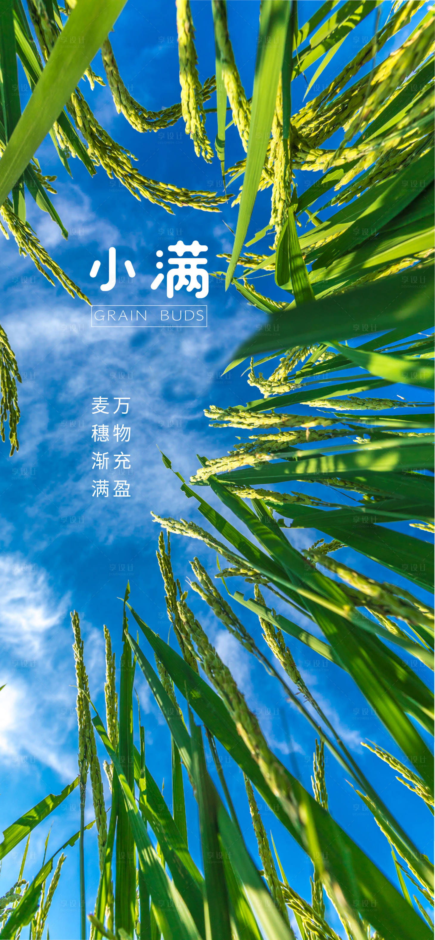 源文件下载【享设计】搜索编号：92840009840325744【小满节气海报】