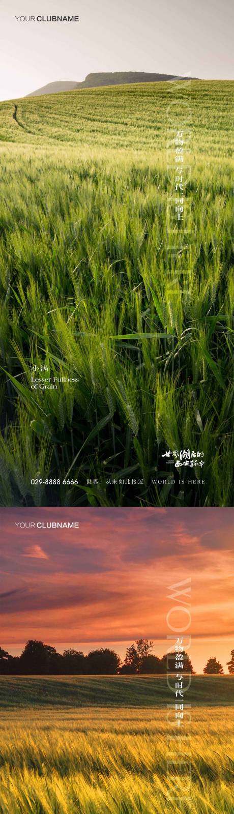 源文件下载【小满地产节气海报】编号：23360009971453349