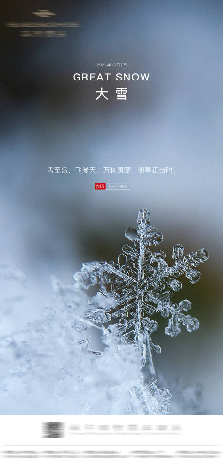 源文件下载【大雪节气海报】编号：38560009874197890