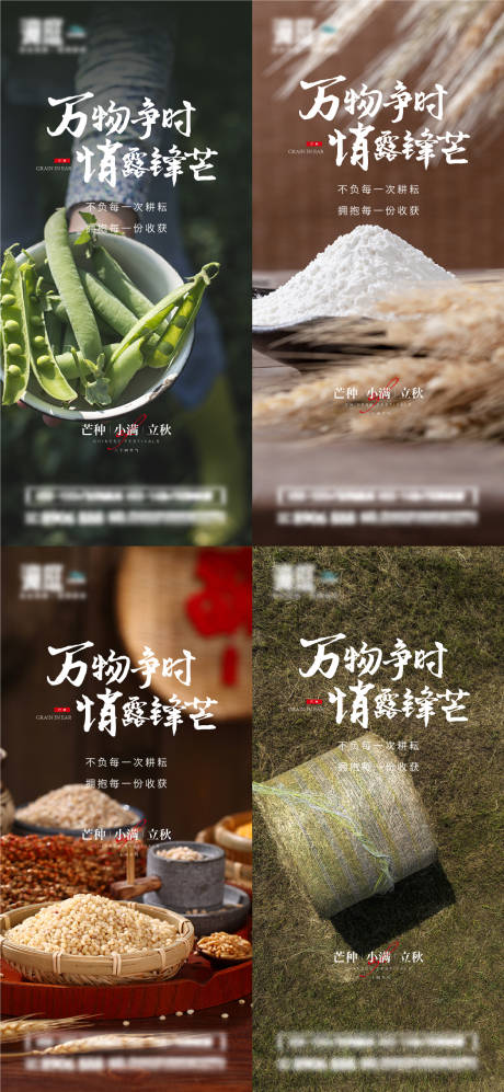 源文件下载【芒种小满立秋节气系列海报】编号：10540010193248971