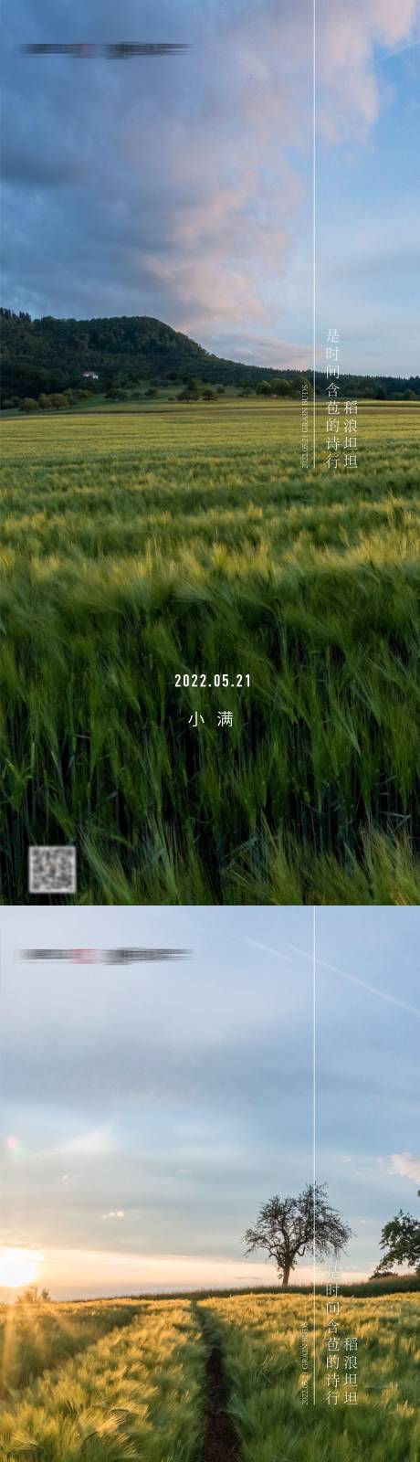 源文件下載【小滿麥田節氣簡約清新系列海報】編號：58430009840406780