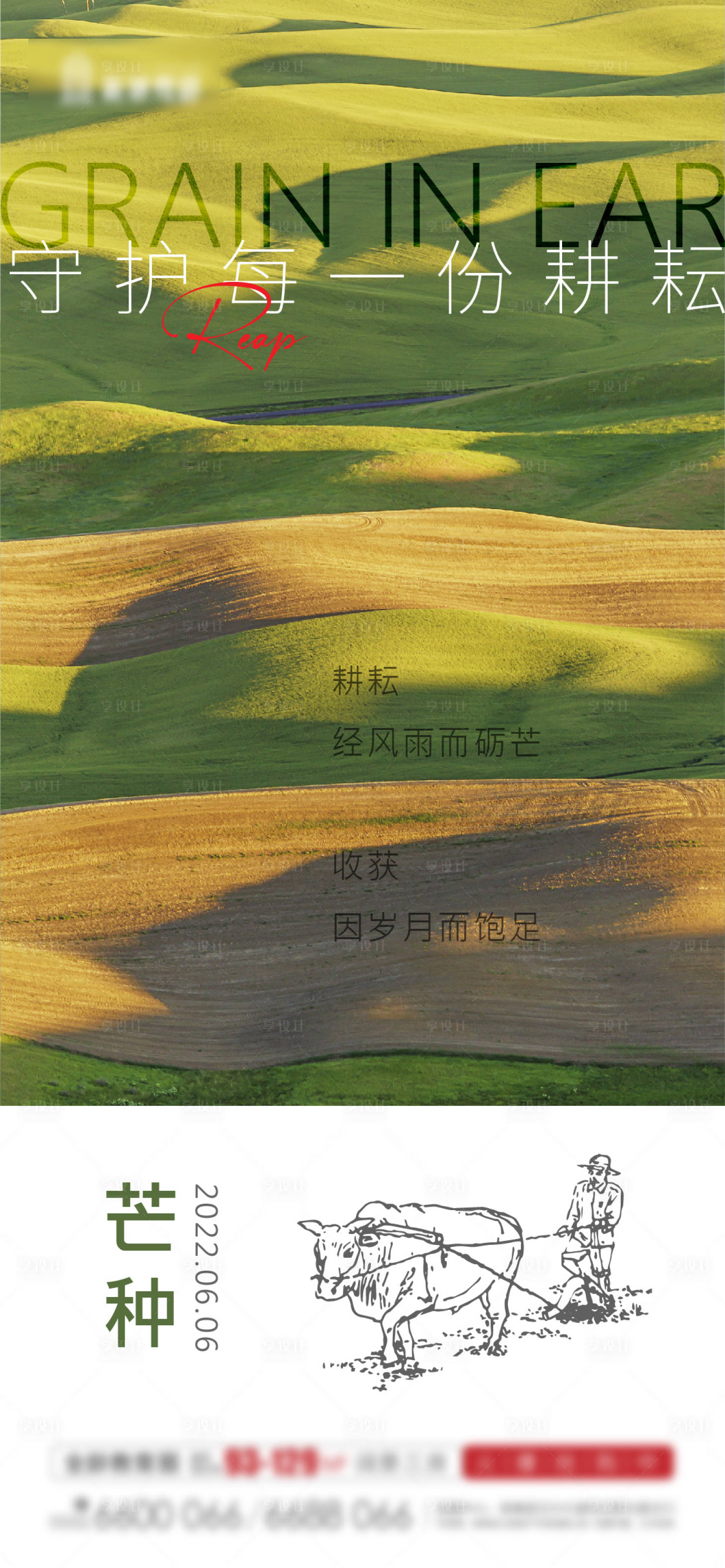 源文件下載【享設計】搜索編號：92100010216999791【芒種微信海報】