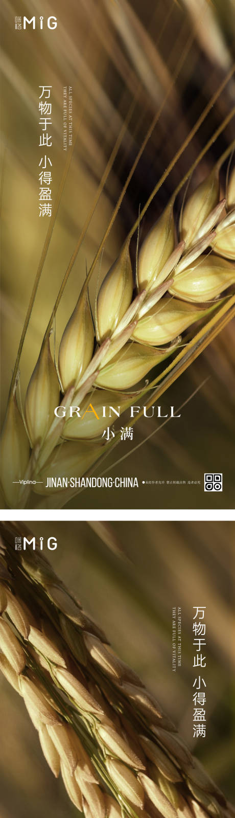 源文件下载【小满节气海报】编号：78940009946977875