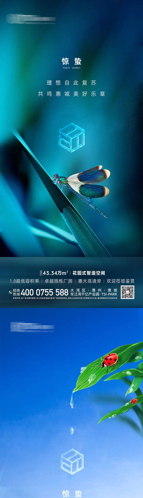 源文件下载【地产惊蛰节气系列海报】编号：20840009999953531