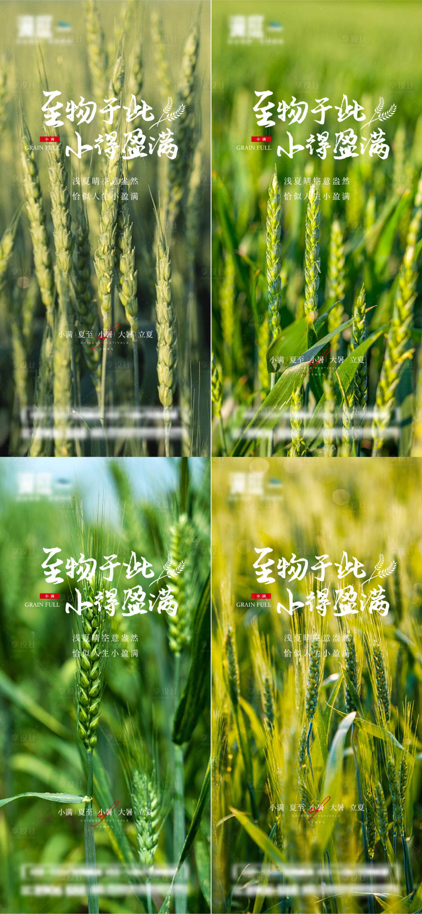 源文件下載【享設計】搜索編號：19860010010475505【小滿夏至小暑大暑立夏節氣系列海報】
