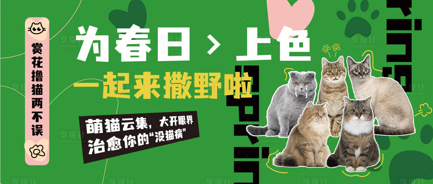 源文件下载【可爱猫展微信首图】编号：63720009914787140