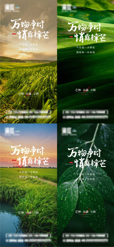 源文件下载【芒种小满立秋节气系列海报】编号：49670010193165220