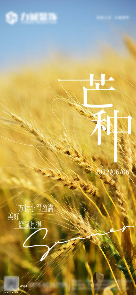 源文件下载【芒种节气海报 】编号：90910010343219731