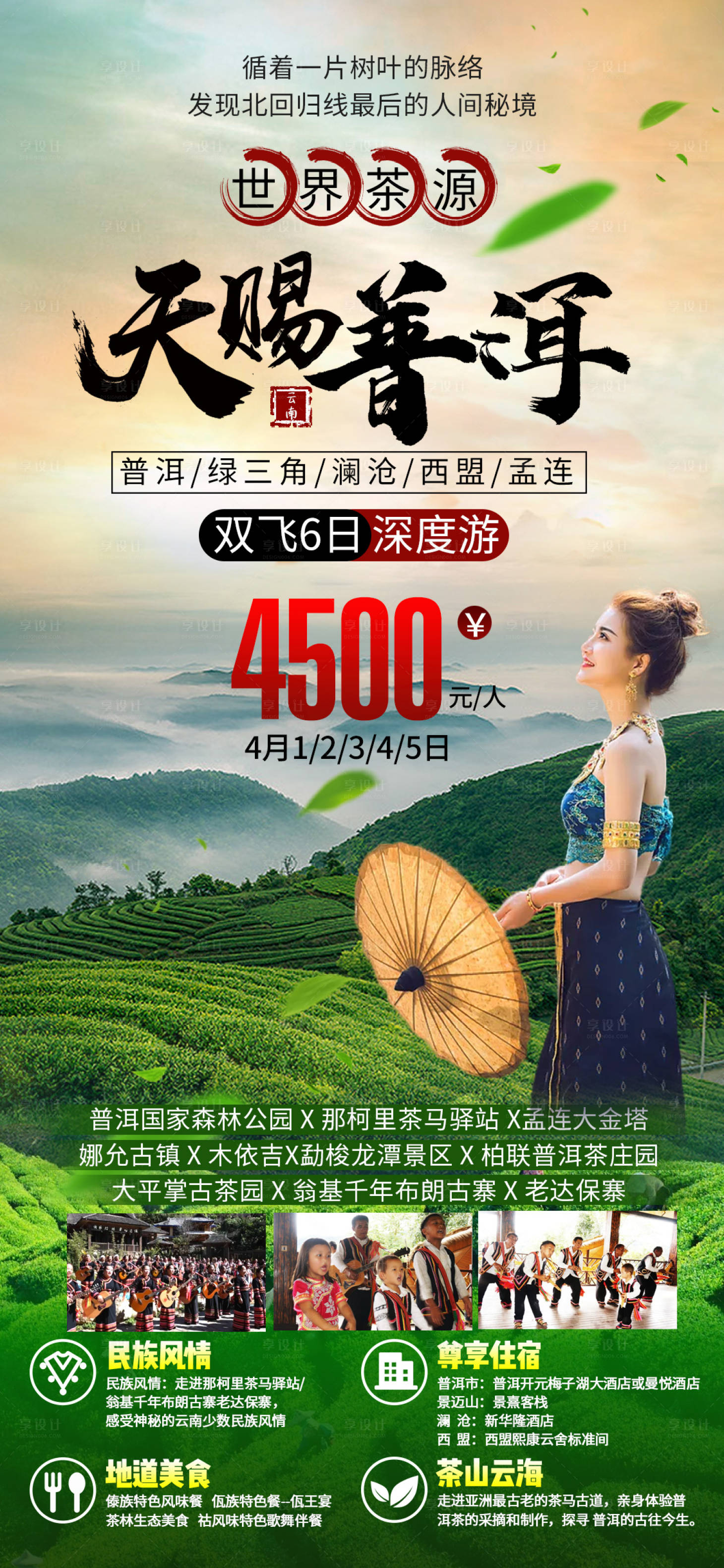 源文件下載【享設計】搜索編號：26480010633566621【云南普洱綠三角瀾滄西盟孟連茶園旅游?！? title=