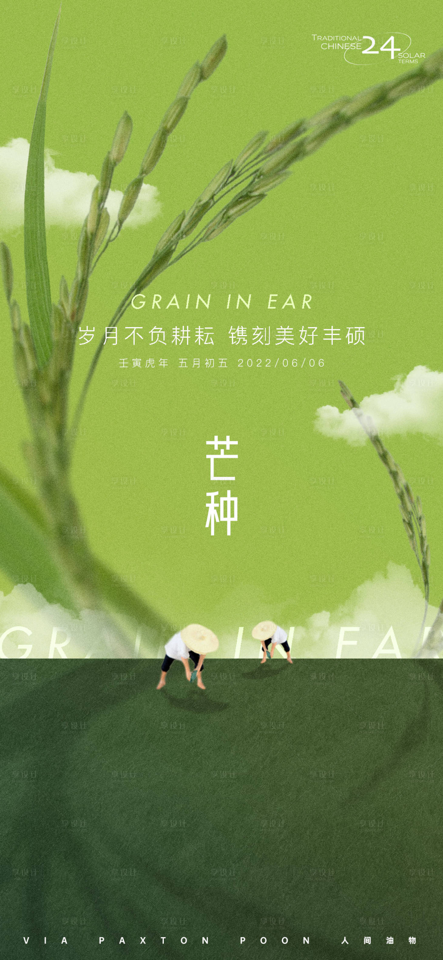 源文件下载【芒种海报】编号：72240010365604530