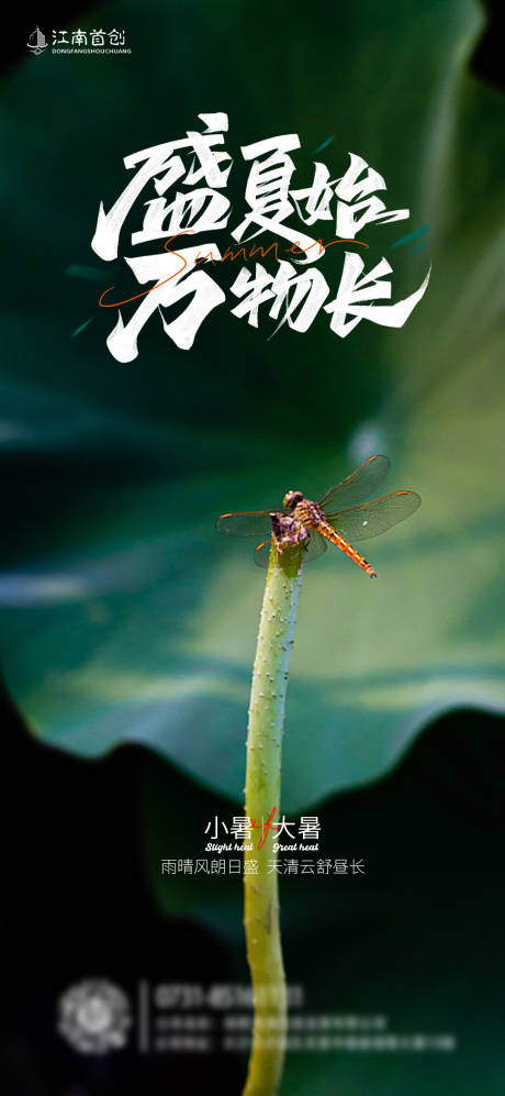 源文件下载【小暑大暑节气海报】编号：43540010720834065