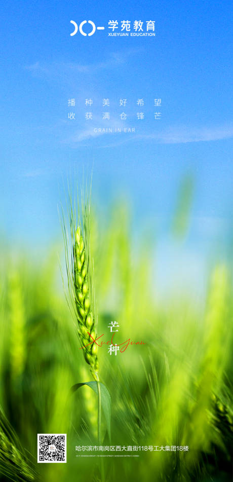 源文件下载【芒种海报】编号：89360010353962320