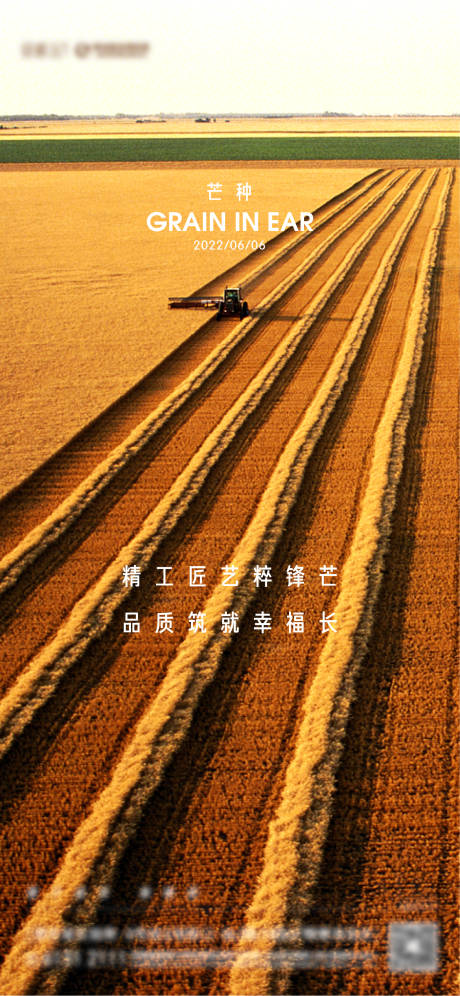 源文件下载【芒种节气海报】编号：70080010330588305