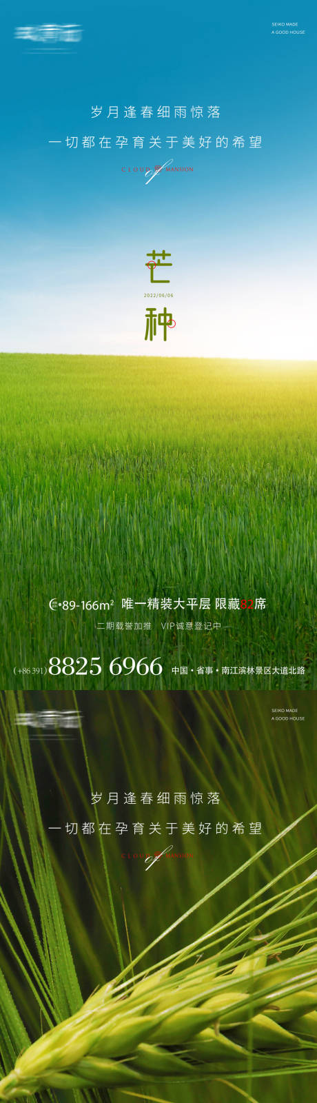源文件下载【芒种节气系列海报】编号：32580010315079380