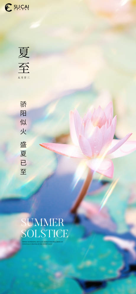 源文件下載【夏至節氣海報】編號：30570010512854323