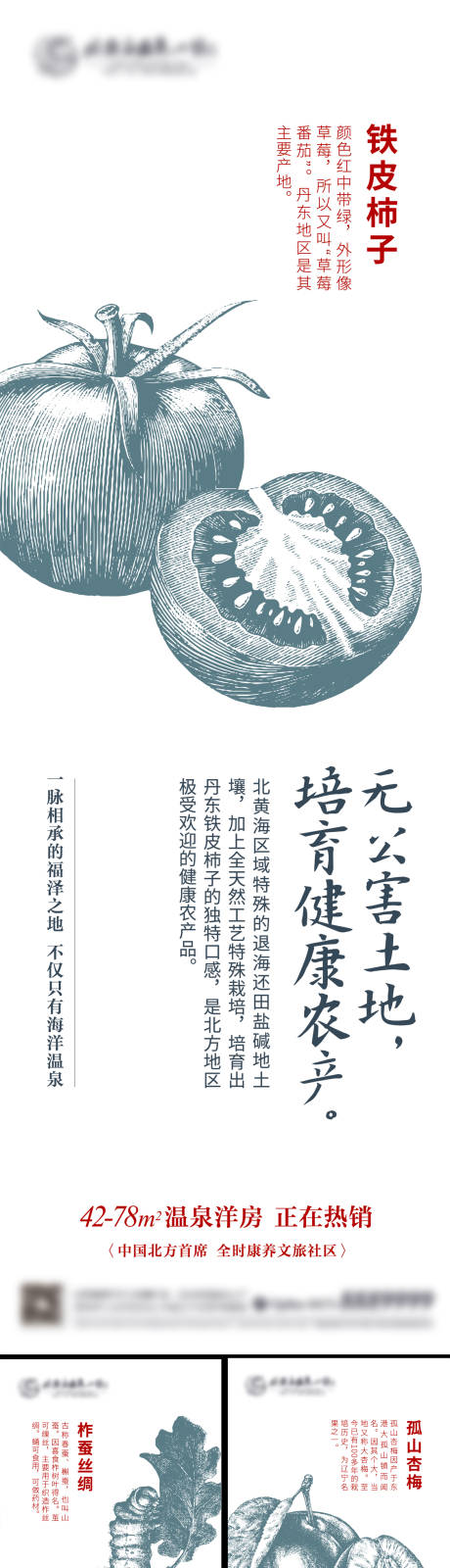 源文件下载【地产温泉小镇简约系列海报】编号：33370010683333809