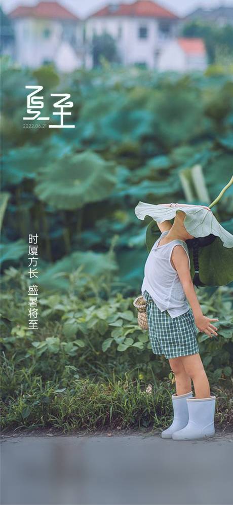 源文件下载【夏至节气海报】编号：77870010378449970