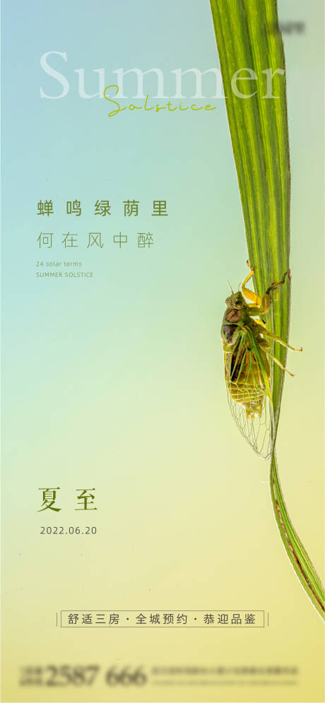 源文件下载【夏至海报】编号：50030010558857155