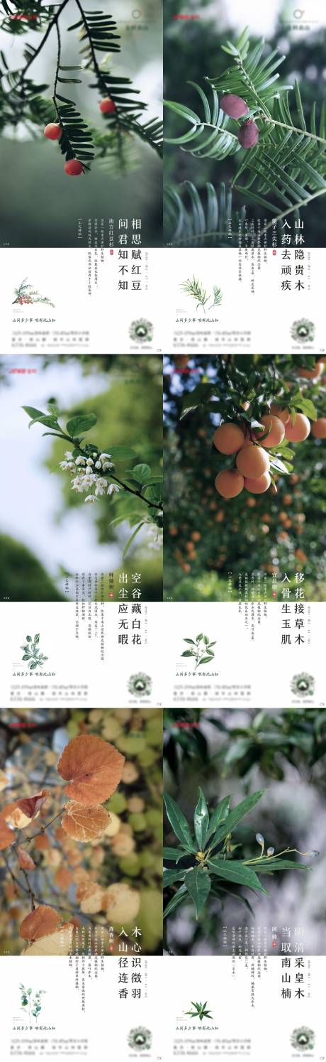 源文件下载【房地产价值点植物系列海报】编号：47900010325909484