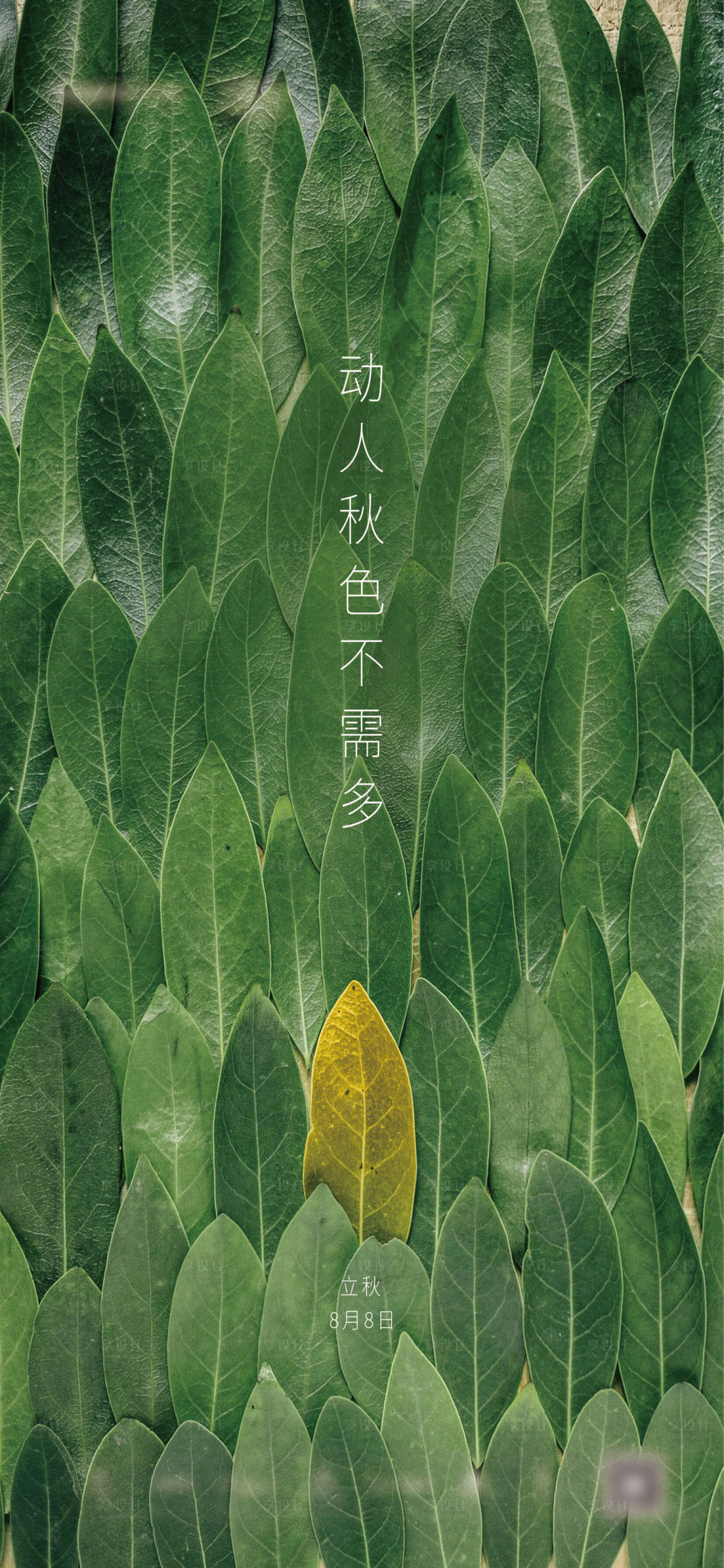 源文件下載【享設計】搜索編號：55290010410692974【立秋刷屏】