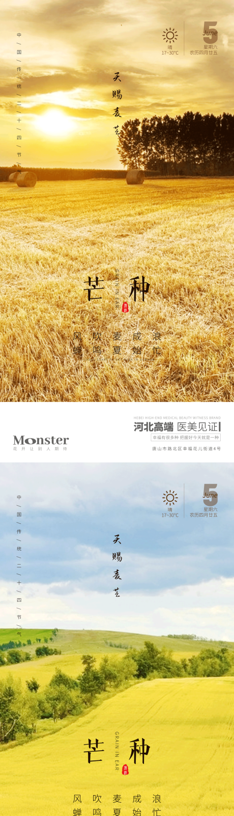 源文件下载【享设计】搜索编号：24050010372954648【海报医美二十四节气芒】