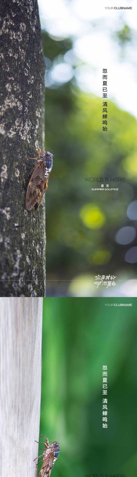 源文件下载【夏至】编号：18400010628727381