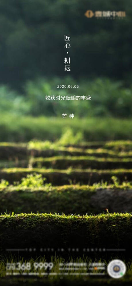 源文件下载【芒种海报】编号：98550010802001960