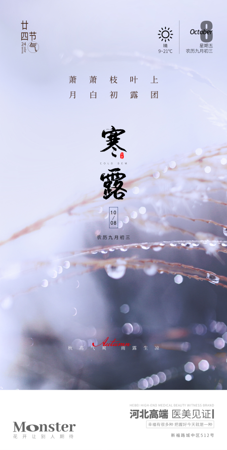 源文件下载【医美寒露节气海报】编号：45960010380199661