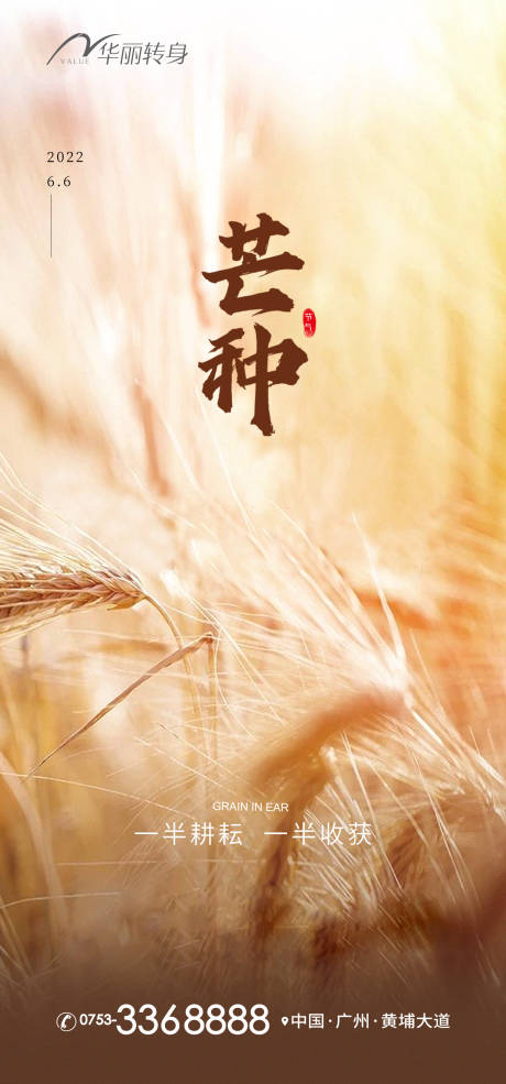 源文件下载【芒种节气海报】编号：42220010309045963