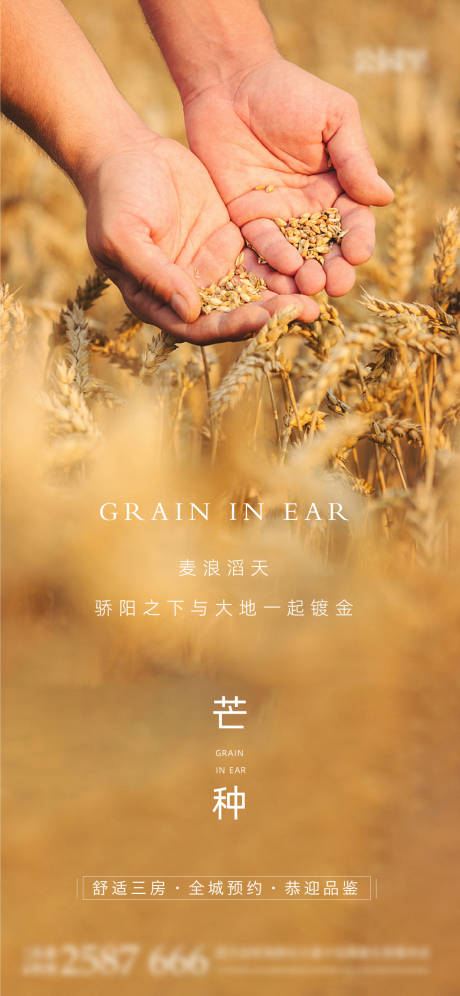 源文件下载【二十四节气芒种海报】编号：54960010359302282