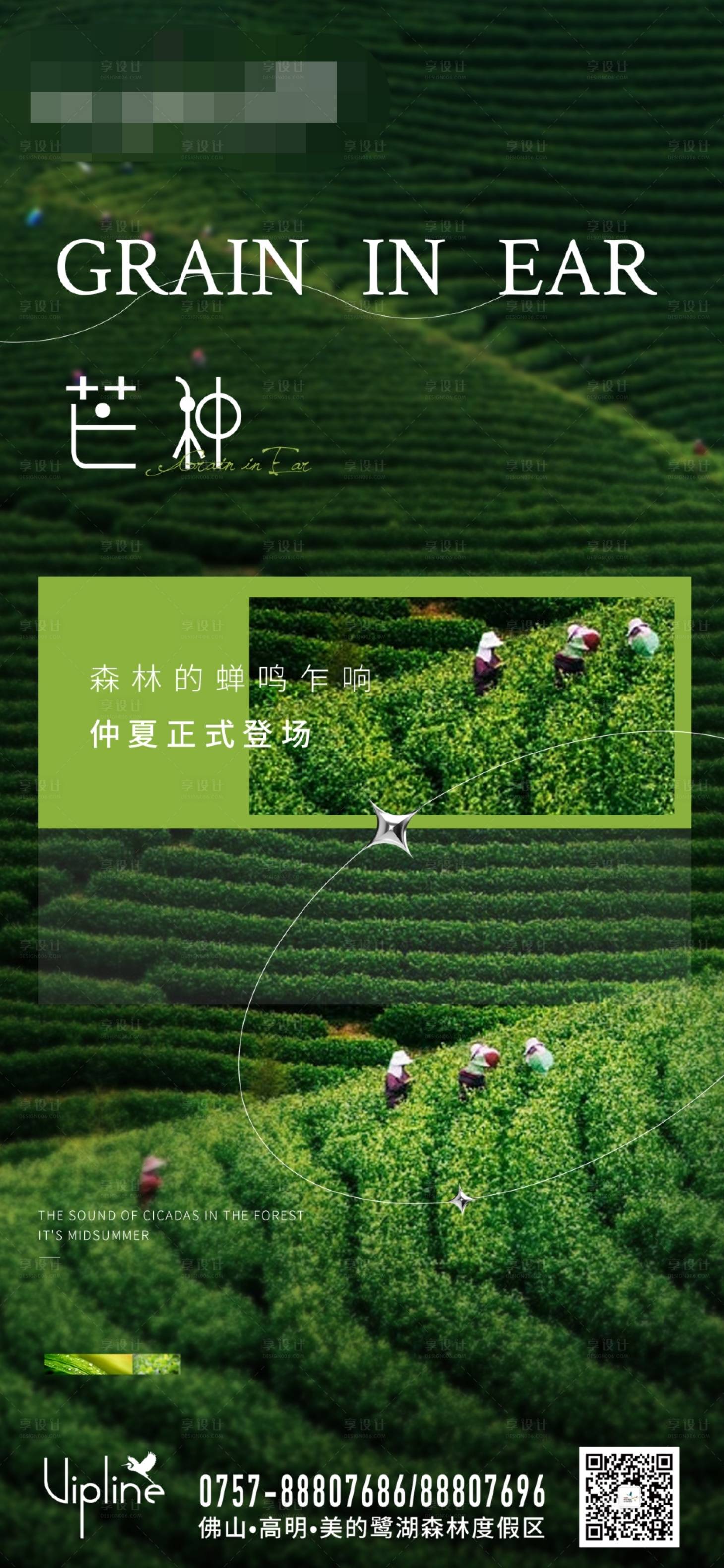 源文件下載【享設計】搜索編號：94810010426085233【芒種】