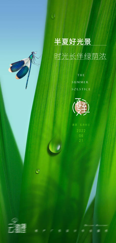 源文件下载【夏至节气海报】编号：27250010410041530